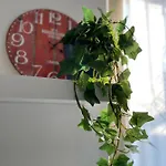 Residenza Natalina 皮亚琴察