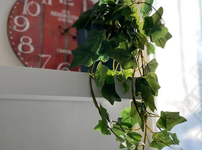 Residenza Natalina Piacenza